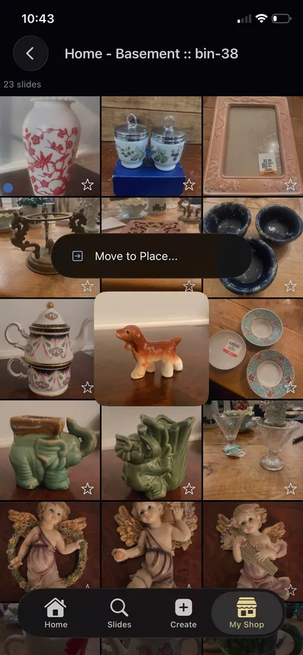 A long press on an item in the Carousel Shop AI iPhone app showing a Move to Place option.